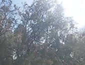 طقس الوادي الجديد.. شتوى والحرارة 15 درجة "مباشر"