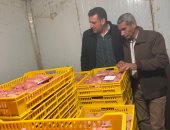 ضبط مجزر دواجن غير مرخص والتحفظ على 3 أطنان دواجن فاسدة فى الغربية