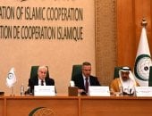 الجامعة العربية: الاحتلال والمستوطنون ينفذون سياسة ممنهجة لتصفية قضية فلسطين
