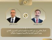 وزير الخارجية يؤكد أهمية ضمان استدامة وقف إطلاق النار فى غزة