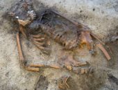 اكتشاف قبر غامض يعود إلى عصر الفايكنج فى النرويج