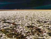 أمطار وتساقط للثلوج على منطقة حائل فى السعودية