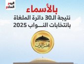 نتائج 30 دائرة ملغاة بانتخابات مجلس النواب بالأسماء.. إنفوجراف