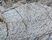 العثور على آلاف آثار أقدام ديناصورات قرب أولمبياد إيطاليا 2026.. فيديو 