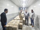 ضبط 70 ألف بيضة فاسدة قبل طرحها بالأسواق بالمنوفية