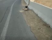 إصلاح الهبوط الأرضى بطريق السويس وإعادة فتح الطريق بالقاهرة