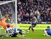 تشيلسي يسقط فى فخ التعادل أمام نيوكاسل يونايتد بالدورى الإنجليزي.. فيديو