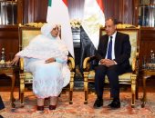 وزير الخارجية يؤكد دعم مصر لمؤسسات الدولة الوطنية السودانية