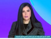 السفير صلاح حليمة: مجالات الطاقة والبنية التحتية والتكنولوجيا في صدارة التعاون الروسي الأفريقي