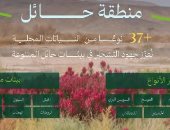 الوطنى للتشجير بالسعودية: الطلح والقيصوم أكثر النباتات المحلية انتشارًا فى حائل