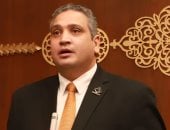 النائب عماد خليل أمام الشيوخ: خسائر سرقة الكهرباء بلغت 50 مليار جنيه