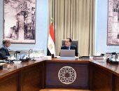 مدبولى: توجيهات من الرئيس بتوفير أوجه الدعم المطلوبة لمشروعات الطاقة المتجددة