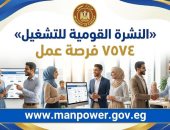 وزارة العمل: 7574 فرصة عمل في 63 شركة بـ13 محافظة.. والتقديم خلال ديسمبر