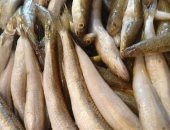 البلطى بـ85 جنيها.. استقرار فى أسعار الأسماك بالإسكندرية