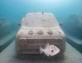 متنزه مفتوح.. سيارات خرسانية تحت الماء لإنعاش الشعاب المرجانية بفلوريدا