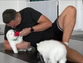 لو زهقان من الشغل.. جلسة يوجا مع الكلاب لتخفيف التوتر بـ60 دولارا