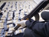 القوات السورية تحبط تهريب 200 ألف حبة كبتاغون على الحدود وتضبط 4 أشخاص