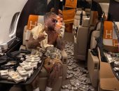 الملاكم الأمريكي جيك بول يستعرض أمواله الطائلة رغم خسارته أمام جوشوا.. صور