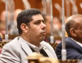 برلماني: تعديل قانون الكهرباء خطوة حاسمة لحماية حق الدولة وترسيخ العدالة