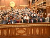 مجلس الشيوخ يوافق مبدئيا على تعديل قانون نقابة المهن الرياضية