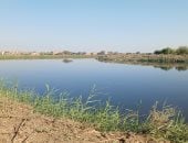 فريق من البيئة يواصل الفحص للتأكد من وجود تمساح جديد بالشرقية