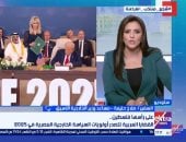 صلاح حليمة: السياسة الخارجية المصرية في 2025 تقوم على الأمن والتنمية