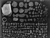 العثور على قطع أثرية بالدنمارك صنعت بمناطق جبال الألب