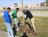 التنمية المحلية: نستهدف زراعة 5 آلاف شجرة بمحاور وشوارع السويس