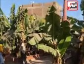 جزيرة الموز بالأقصر.. رحلة المرح والطبيعة ضمن مزارات قطار الشباب