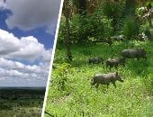 السنغال Vs بوتسوانا.. أماكن تراثية بالدولتين ضمن قائمة اليونسكو