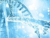 اكتشاف جين يهدئ نشاط الدماغ ويعزز القدرة على الانتباه