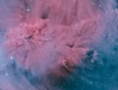 التقاط صور مميزة لبقعة من الأجرام السماوية على شكل عنقود شجرة.. صور