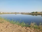 فرق البحث تواصل عملية الفحص للتأكد من وجود تمساح جديد بمصرف عمريط بالشرقية