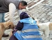 حصاد الوزارات.. وزارة الزراعة: حساب لتلقى التبرعات لتمويل استراتيجية الكلاب الضالة