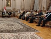 وزير الخارجية: سنرد بالقانون الدولى على أى ضرر من سد النهضة