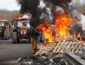 اعتراضا على ذبح الأبقار المريضة.. مزارعو فرنسا يتظاهرون بالجرارات 