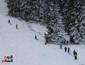 جبال تاترا البولندية تتلألأ بالأبيض.. مشهد ساحر مع تساقط الثلوج