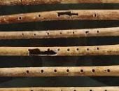 عمرها 43 ألف عام.. تعرف على أقدم آلة موسيقية على الإطلاق