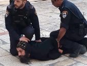 العربية لحقوق الإنسان تطالب المجتمع الدولى بالتصدى للانتهاكات الإسرائيلية