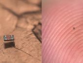 مش هتصدق حجمها.. علماء يبتكرون أصغر روبوتات فى العالم يمكنها الحركة والتفكير