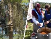 الطبخ السوماناك وكيثول ماديما على قائمة التراث غير المادى فى اليونسكو