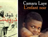 غينيا Vs السودان.. الطفل الأسود وشوق الدرويش ضمن أفضل 100 رواية