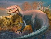 اكتشافات علمية تزيح الستار عن أكثر 6 ديناصورات إثارة فى عام 2025