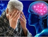 نجاح تجربة على الفئران فى علاج الزهايمر.. ماذا قال العلماء