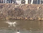 غرق 3 أشخاص فى ترعة المريوطية بالبدرشين والإنقاذ النهرى ينتشل الجثث