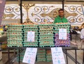 سوق اليوم الواحد بشارع فيصل يطرح كرتونة البيض بـ108 جنيهات
