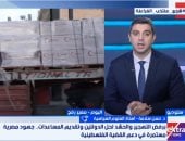 أستاذ علوم سياسية: الدور المصرى فى دعم فلسطين تاريخى ولا يقبل المزايدة