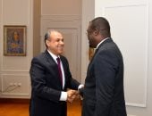 وزير الخارجية يؤكد دعم مصر لتعزيز منظومة الصحة والأمن الدوائى فى أفريقيا