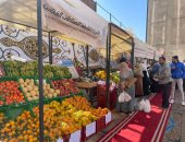 طرح خضروات وفواكه فى سوق اليوم الواحد بشارع فيصل.. صور