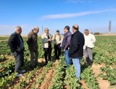 زراعة الإسماعيلية تواصل جهودها الميدانية لمتابعة زراعات بنجر السكر بالقصاصين